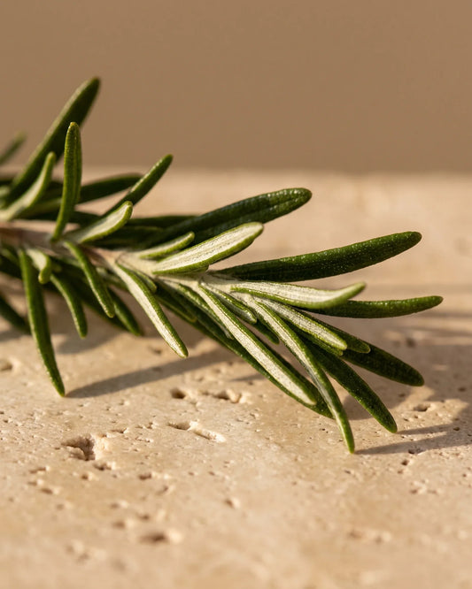 زيت إكليل الجبل العطري النقي - Delune